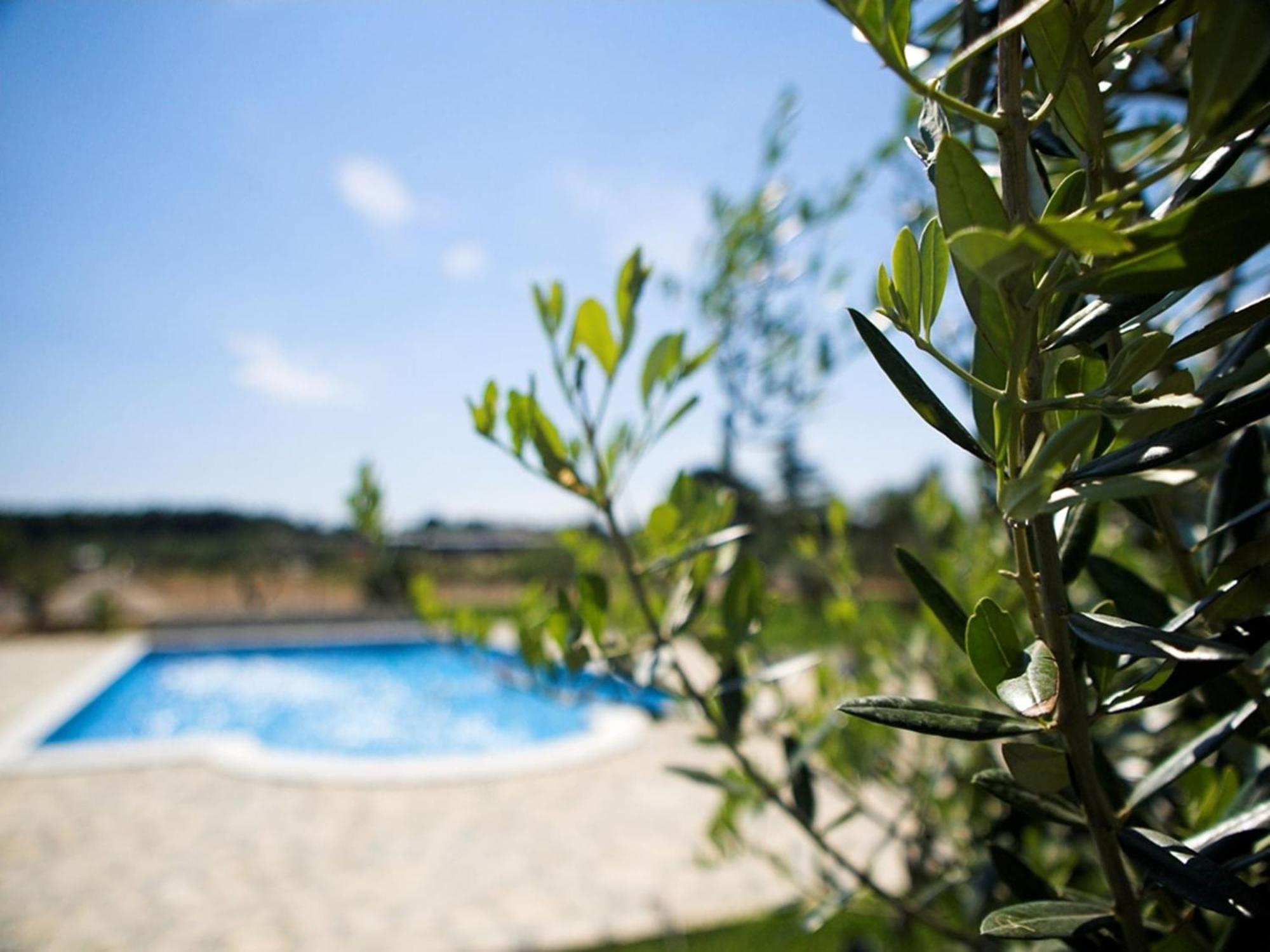 Marceta - Apartments & Rooms With Swimming Pool Fažana Esterno foto