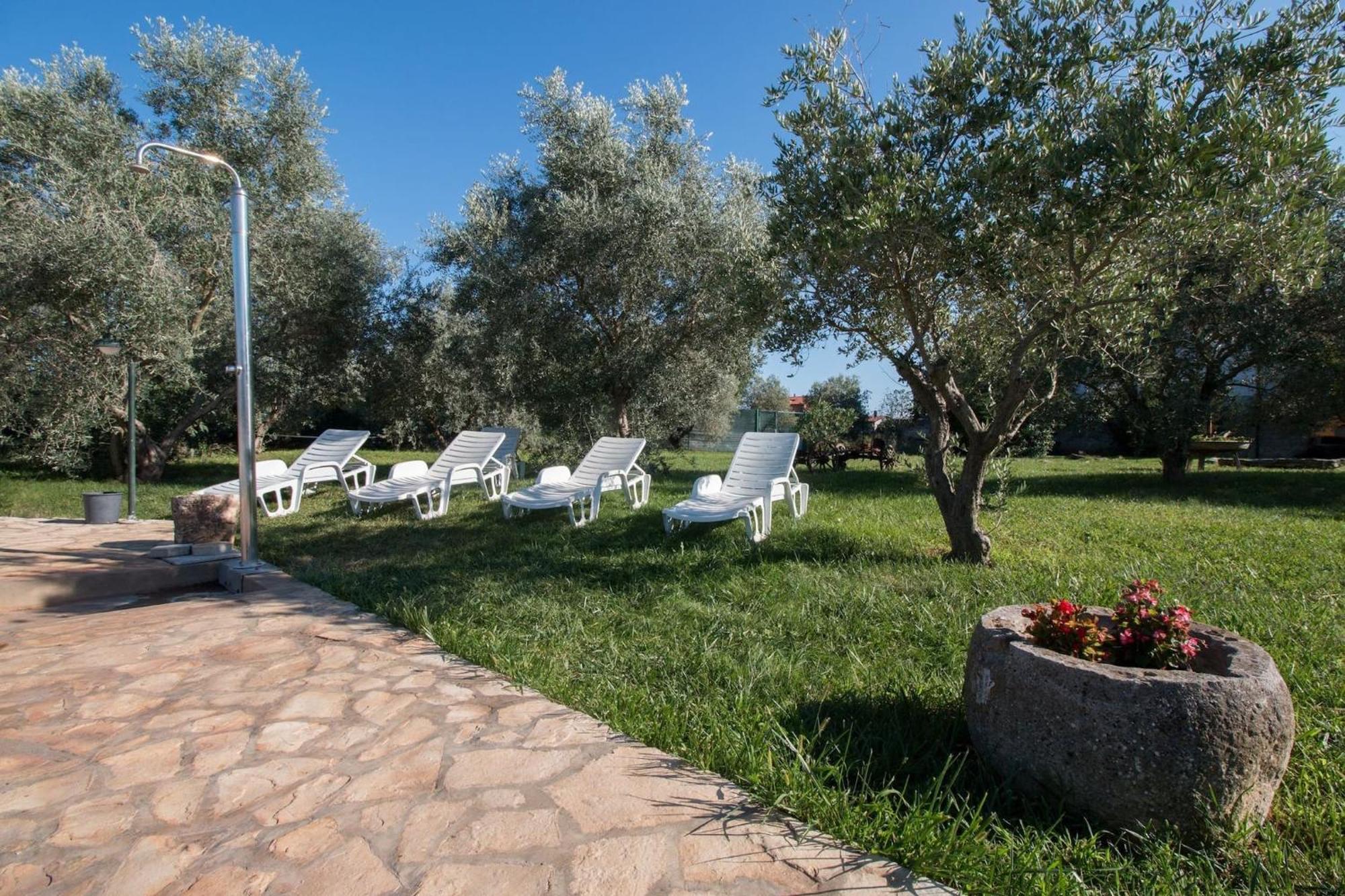 Marceta - Apartments & Rooms With Swimming Pool Fažana Esterno foto